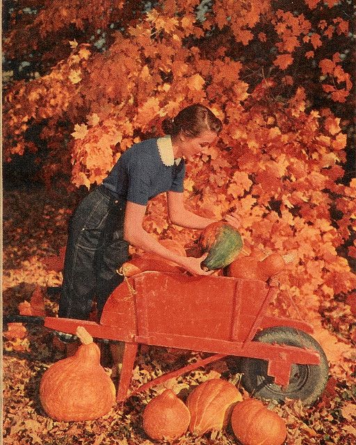 1953 1950s vintage photo of a young woman with pumpkins and squash in a fall setting