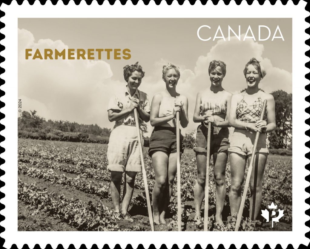 1940s vintage photo of the Farmerettes-Young Women in Ontario Canada who worked on farms during WW2 to help the home front effort. Canadian Stamp. 