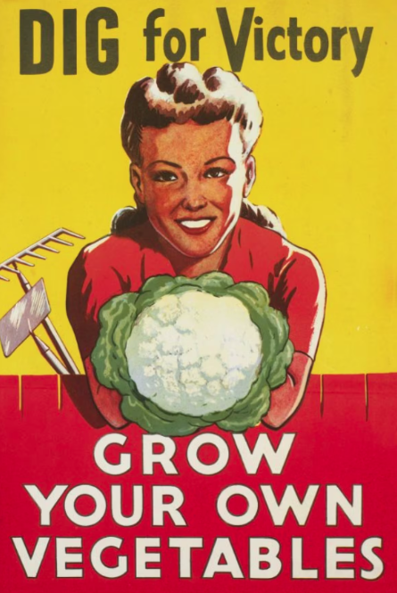 1940s vintage advertisement for a Canadian Victory Garden featuring an illustration of 1940s woman holding vegetables. 