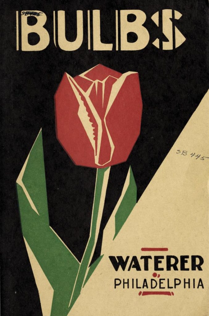 1920s vintage flower catalog for Bulbs in 1929 featuring an Art Deco Illustration of a Tulip and typography. 