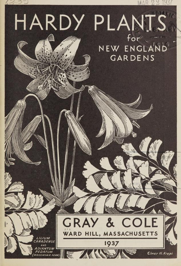 1930s vintage flower / Garden catalog-Hardy plants for New England gardens, 1937 / Gray & Cole