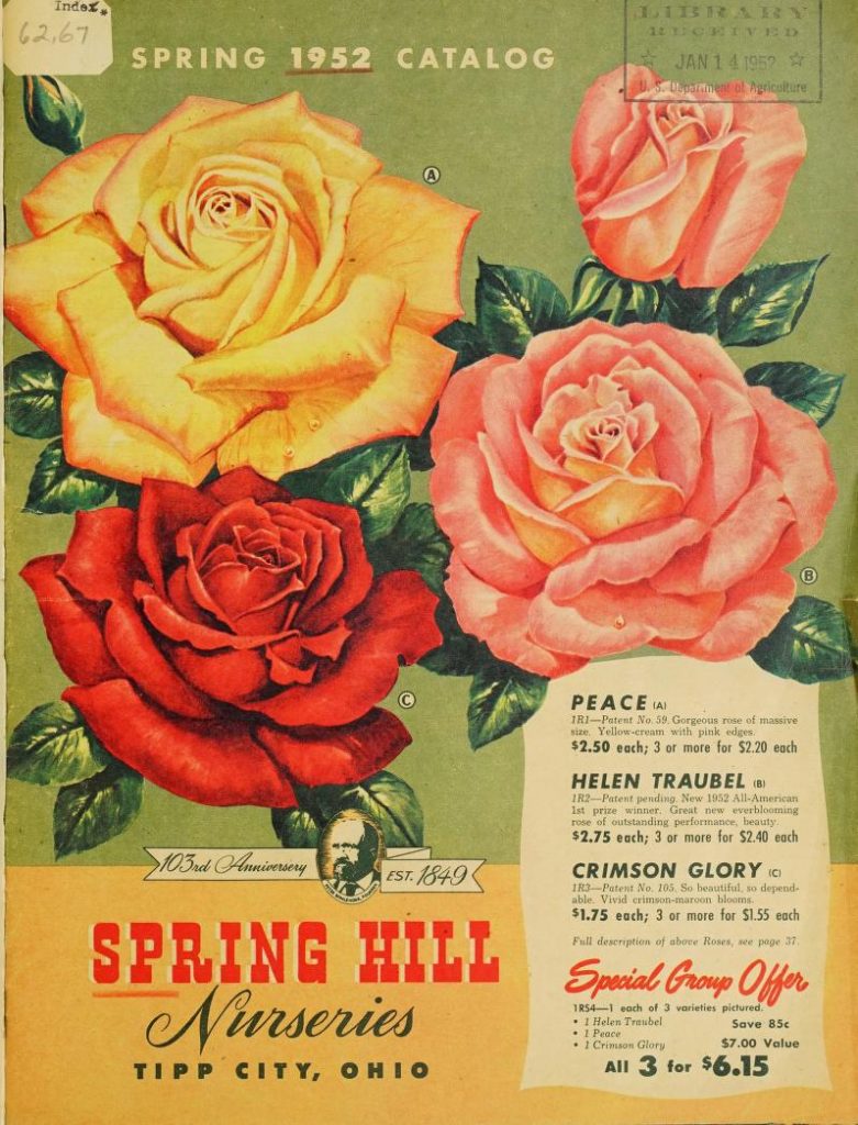 Vintage Gardening Catalog-1950s vintage catalog from 1952 from Spring Hill Nurseries featuring illustration of flowers you can grow.