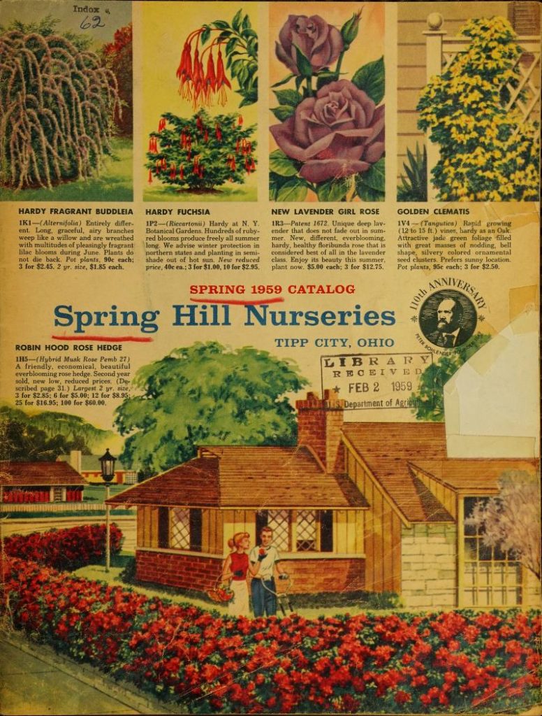 1950s vintage catalog from 1959 from Spring Hill Nurseries featuring illustration of flowers for your garden and a Mid Century House garden with roses
