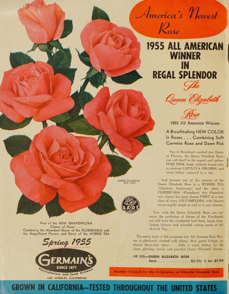 1955 Vintage flower magazine featuring "America's Newest Rose. 1955 All American Winner in Regal Splendor-The Queen Elizabeth Rose"