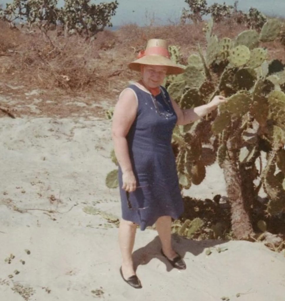 1960s vintage photo of an older woman posing with a cactus plant in a 1960s shift dress and a 1960s straw hat. Cute 1960s fashion. 